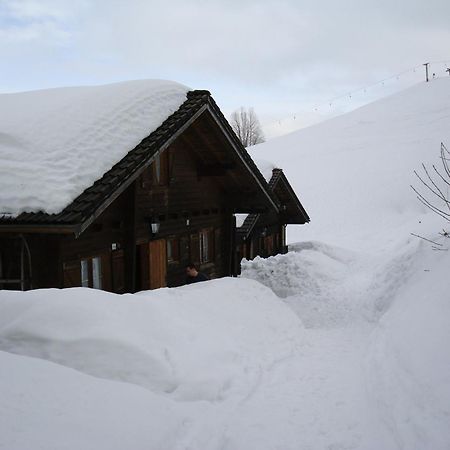 Ferienwohnungen Im Blockhaus Metzler Schwarzenberg Zewnętrze zdjęcie
