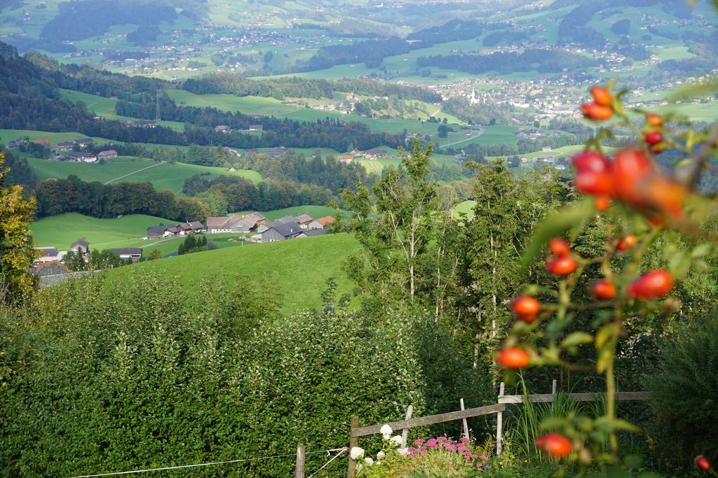 Ferienwohnungen Im Blockhaus Metzler Schwarzenberg Zewnętrze zdjęcie