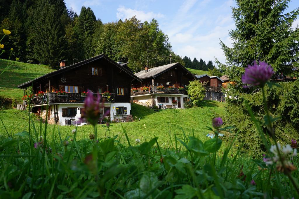 Ferienwohnungen Im Blockhaus Metzler Schwarzenberg Zewnętrze zdjęcie